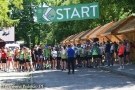 start w Białowieży
