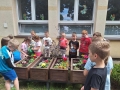 Grupa dzieci stoi wokół drewnianych donic z kwiatami. Dwie dziewczynki trzymają konewkę, którą podlewają kwiaty.