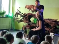 dzieci z grupy Sarenek, podczas różnych aktywności realizowanych w czasie innowacji pedagogicznej.