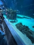 ZOO