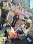 piknik