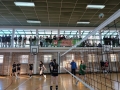 gra
