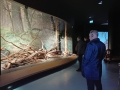 członkowie delegacji podczas zwiedzania muzeum w Białowieży