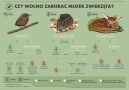 plansza informacyjna
