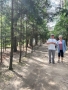 Spacer Aleją Miłości prowadzącą do Zamku Kasztelik