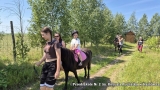 dzieci podczas zwiedzania konnego zakątka 