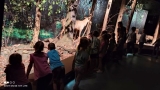 dzieci zwiedzają Muzeum Przyrodnicze w Białowieży.
