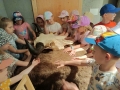 zajęcia edukacyjne, w których uczestniczą dzieci podzielone na grupy.