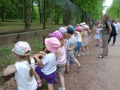  dzieci zwiedzają Rezerwat Pokazowy Żubrów.