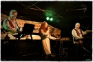 koncert zespołu