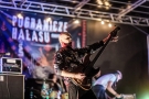 koncert zespołu
