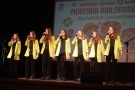 Na zdjęciach widać artystów z Hajnowskiego Domu  Kultury ze Studia Piosenki Estradowej.