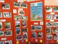 wystawa zdjęć fotograficznych