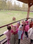 Zwiedzanie Rezerwatu Pokazowego Żubrów