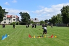 gra